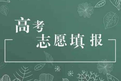 高考志愿填報(bào)有哪些注意事項(xiàng)？高校招辦主任來支招