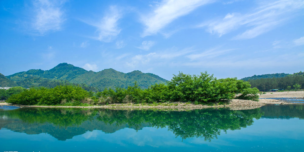 林草年碳匯量居世界首位……看中國(guó)高顏值答卷