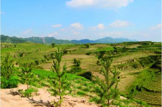 山西，生態(tài)扶貧興大計(jì)謀長(zhǎng)遠(yuǎn)