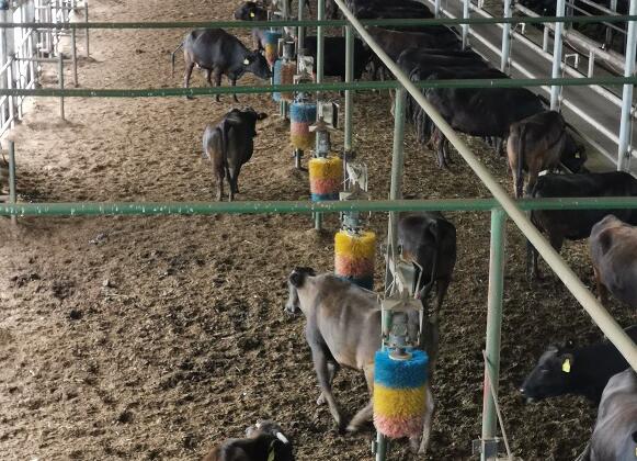 “壯麗70年 振興看鶴城”：“龍江和?！苯承拇蛟旖鹱终信?></a></div><!-- img end -->	<div   id=