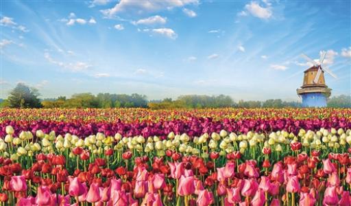 河南鄢陵：“花木+扶貧”開(kāi)辟致富新路