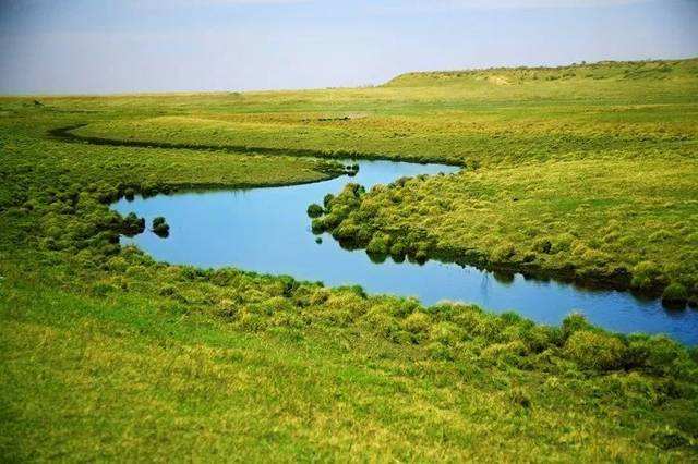 黑龍江杜爾伯特：昔日“西北風口”筑起百萬畝綠色“長城”