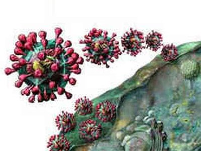 天氣轉(zhuǎn)暖后病毒會(huì)自行消失？專(zhuān)家：科學(xué)上還沒(méi)有結(jié)論