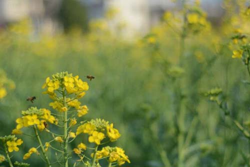 20200228112821386.jpg 2.jpg