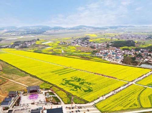 20200228112830144.jpg 6.jpg