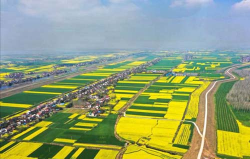 20200228112840386.jpg 5.jpg