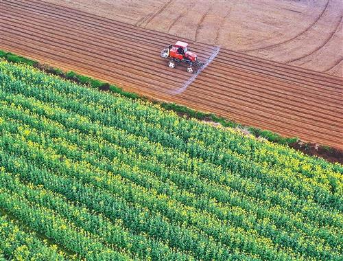 穩(wěn)農(nóng)業(yè)，底氣足！多地農(nóng)業(yè)生產(chǎn)有序開展