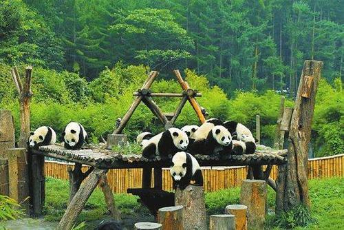 四川已謀劃準(zhǔn)備文化旅游業(yè)恢復(fù)發(fā)展和市場提振計(jì)劃