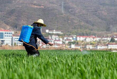 春管春耕措施有力有序，夏糧生產基礎好于預期