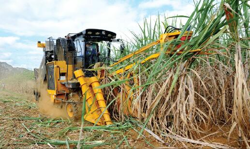 科技進田 萬象“耕”新 黑龍江省農(nóng)機智能化進程邁向新臺階