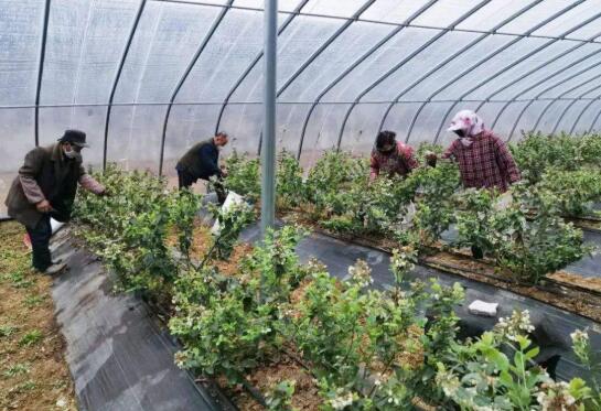 國(guó)務(wù)院扶貧辦：掛牌督戰(zhàn)更加有力 防返貧機(jī)制運(yùn)行良好