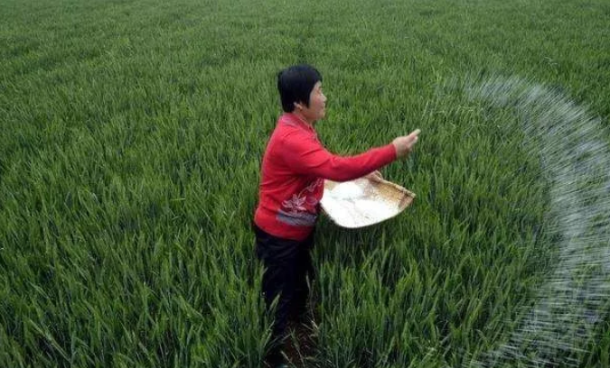 農(nóng)業(yè)農(nóng)村部：持續(xù)推進科學施肥 促進化肥減量增效