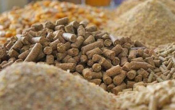 構(gòu)建現(xiàn)代飼草產(chǎn)業(yè) 做好飼料“文章” 更好保障國家糧食安全與重要農(nóng)產(chǎn)品供給