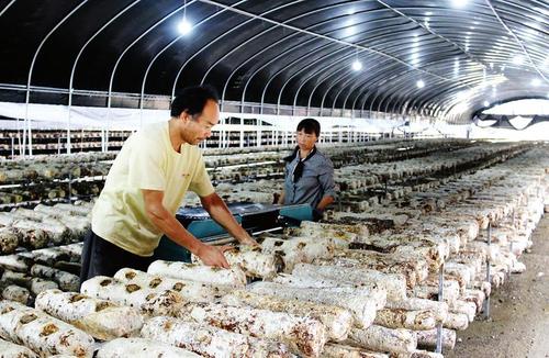 產(chǎn)業(yè)扶貧怎樣與鄉(xiāng)村振興銜接？農(nóng)業(yè)農(nóng)村部：不能畢其功于一役