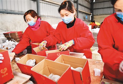 一季度全國農(nóng)產(chǎn)品網(wǎng)絡零售額增31.0% 電商直播超400萬場