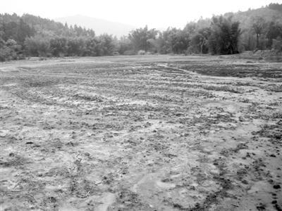 讓“病”土重生，廣西探索河池模式