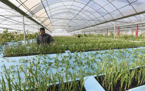 我國(guó)將有大范圍雨雪和寒潮 農(nóng)業(yè)農(nóng)村部部署抗干旱防寒潮工作