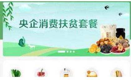 央企消費(fèi)扶貧電商平臺正式上線
