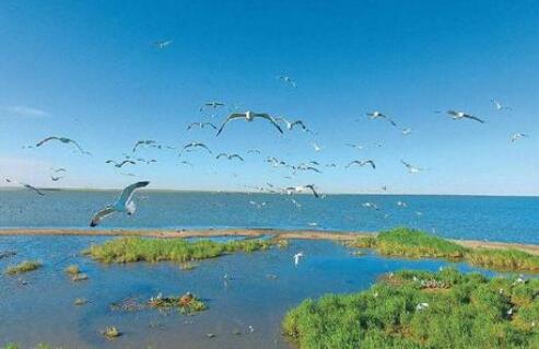 內(nèi)蒙古出臺條例為生態(tài)環(huán)境保護提供法治保障