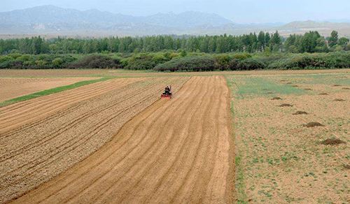 內(nèi)蒙古春播結束 超額完成國家下達糧食播種任務