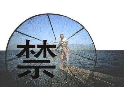 守護(hù)母親河重現(xiàn)生機(jī)——多部門回應(yīng)長江禁捕熱點(diǎn)問題