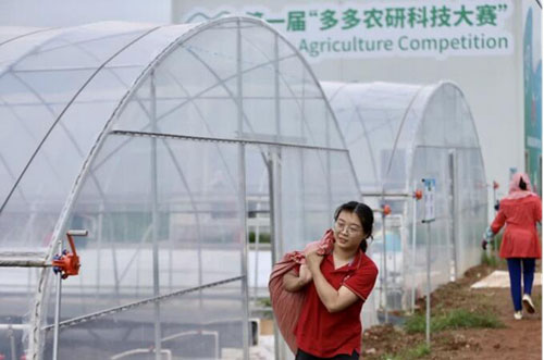 54位青年科學(xué)家、頂尖農(nóng)人等齊聚中國(guó)云南，農(nóng)業(yè)“人機(jī)”對(duì)戰(zhàn)正式開(kāi)賽