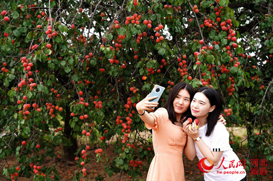 20200821094240929.jpg 20200821094240929.jpg