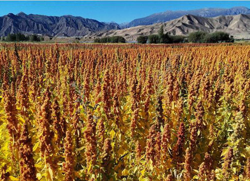 20200907130523773.jpg 15.jpg