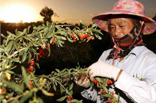 20200907130538773.jpg 16.jpg