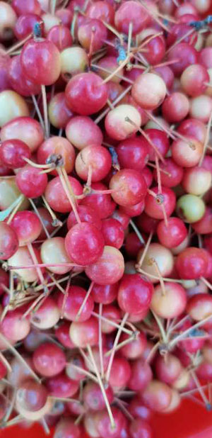 20200913184544463.jpg 3.jpg