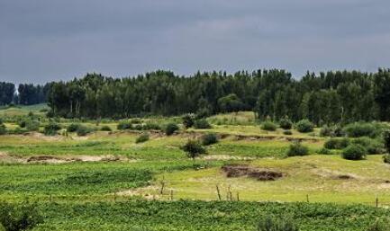 綠美廣東生態(tài)建設(shè)扎實推進(jìn) 南粵山河換新顏