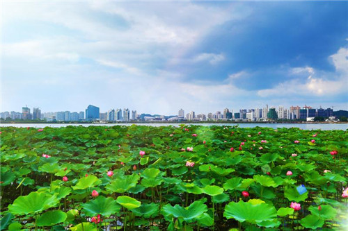 20200924110821503.jpg 2.jpg