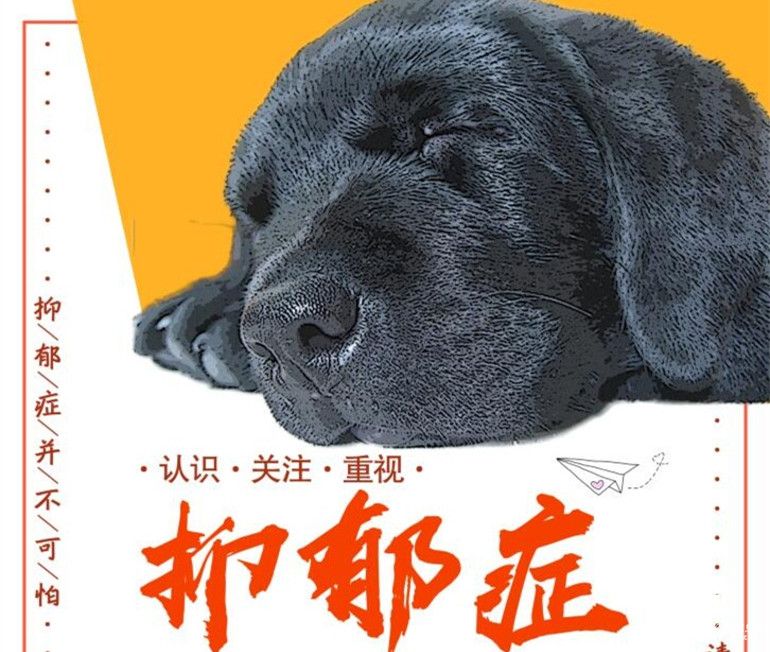 抑郁癥學(xué)生普篩，為主動(dòng)“擁抱”探路