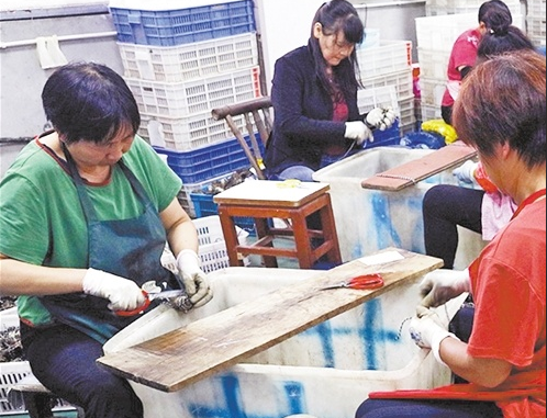 長三角推進(jìn)農(nóng)業(yè)一體化升級(jí)——滬蘇浙皖聯(lián)手“云拼”大閘蟹