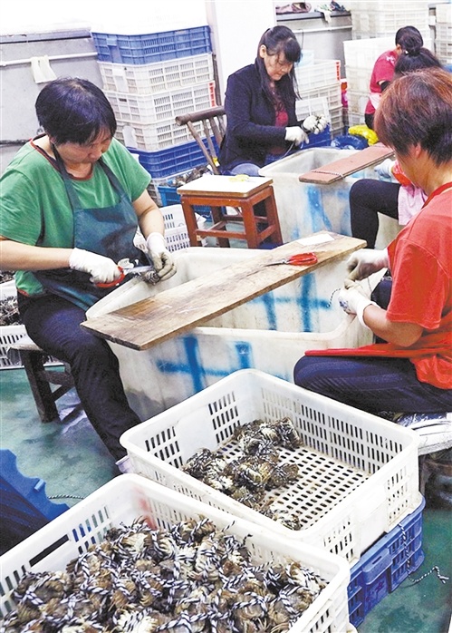 20201006150813588.jpg 00302531631_9b4a344c.jpg