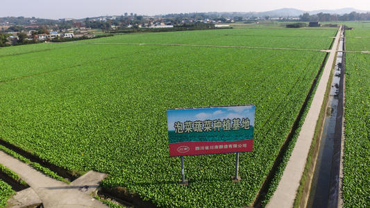 福建漳州：練出精細(xì)農(nóng)業(yè)“繡花功”