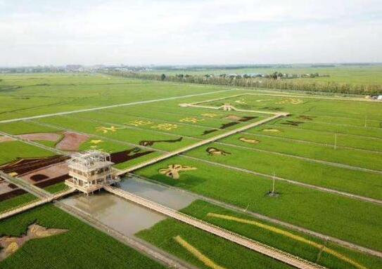 財(cái)政部：中央財(cái)政將適當(dāng)提高高標(biāo)準(zhǔn)農(nóng)田建設(shè)的中央和省級(jí)投資補(bǔ)助水平