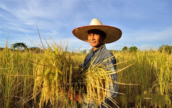 20201014153125353.jpg 微信圖片_20201014152920.jpg