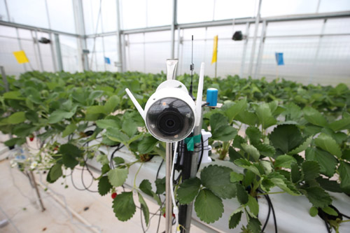 20201015164745207.jpg 2.jpg