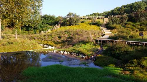 青?？柎澹?窮山根成“網(wǎng)紅”景區(qū)