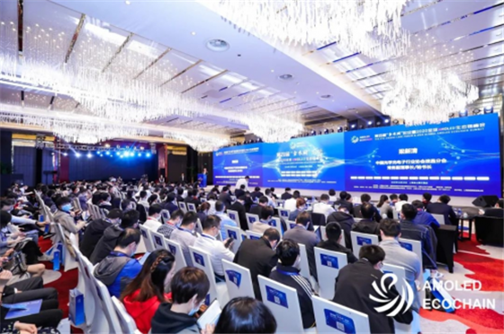 自主創(chuàng)新助力顯示產(chǎn)業(yè)生態(tài)重構(gòu)！第四屆金水湖論壇暨AMOLED生態(tài)鏈峰會(huì)圓滿(mǎn)落幕！