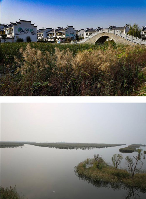 20201102113159386.jpg 12.jpg