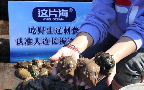 20201103163433583.png 53134_fb769e11-6b90-49e5-a435-a0e8a8e917ad.png