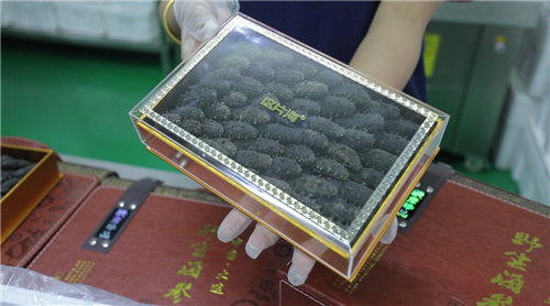 這片海海參：純正好參，只為健康