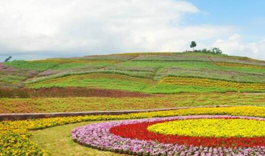 2022年全國休閑農(nóng)業(yè)重點縣名單公布