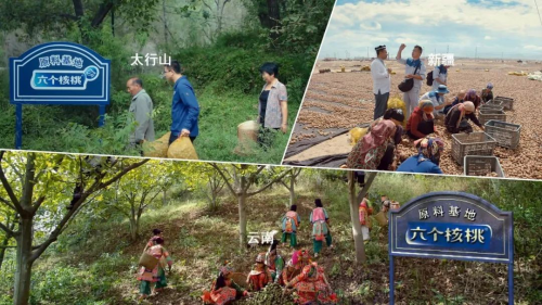 20201119164144990.png 1520121013-2.png