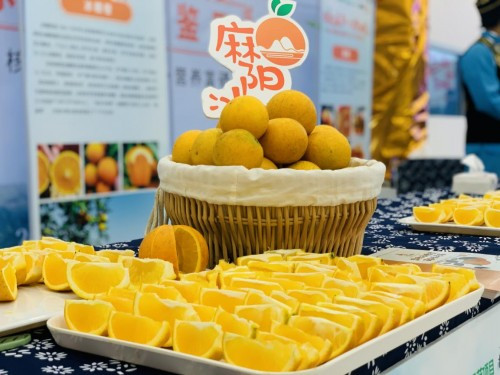 20201127154623261.jpg 9.jpg