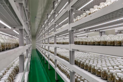 20201201165236478.png 2.png