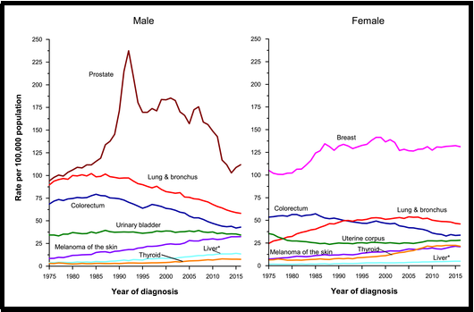 乳腺癌成全球第一大癌！帶你認(rèn)識(shí)“新癌王”防治