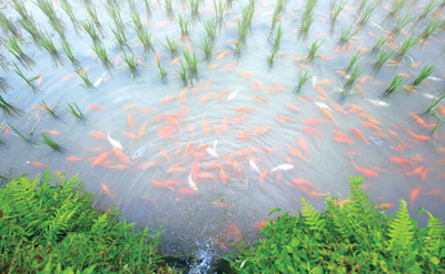 20210122084537724.jpg 1611260629602_1.jpg